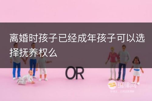 离婚时孩子已经成年孩子可以选择抚养权么