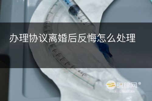 办理协议离婚后反悔怎么处理