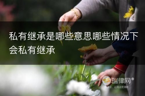 私有继承是哪些意思哪些情况下会私有继承