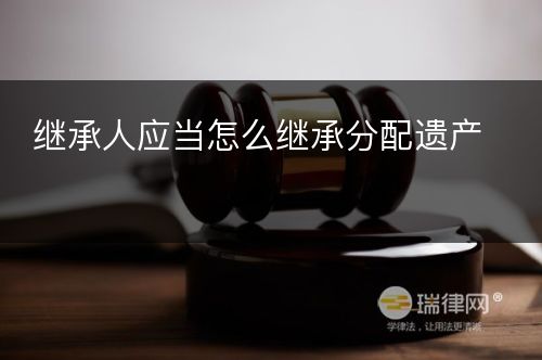 继承人应当怎么继承分配遗产