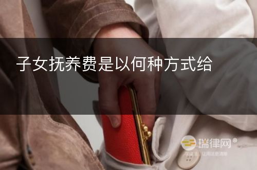 子女抚养费是以何种方式给