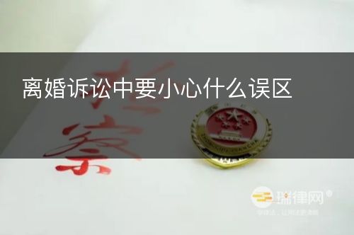 离婚诉讼中要小心什么误区