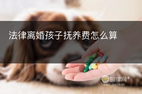 法律离婚孩子抚养费怎么算