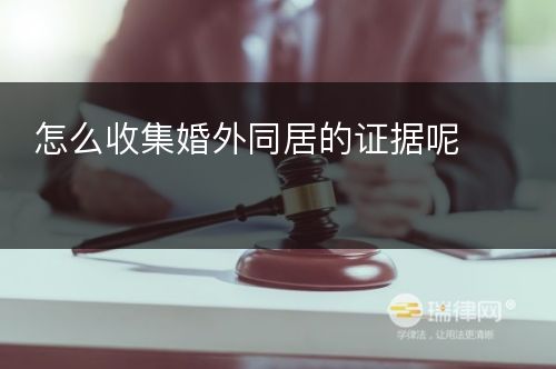 怎么收集婚外同居的证据呢