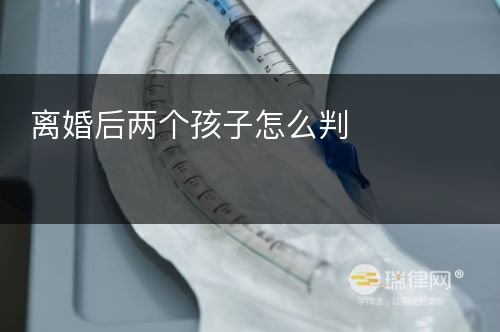 离婚后两个孩子怎么判