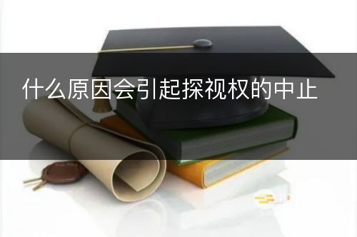 什么原因会引起探视权的中止