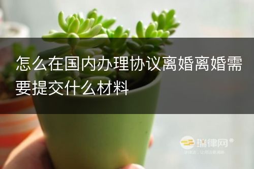 怎么在国内办理协议离婚离婚需要提交什么材料