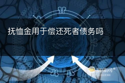 抚恤金用于偿还死者债务吗