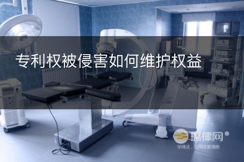 专利权被侵害如何维护权益