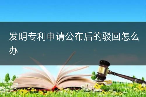 发明专利申请公布后的驳回怎么办