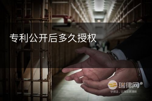 专利公开后多久授权