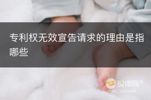 专利权无效宣告请求的理由是指哪些