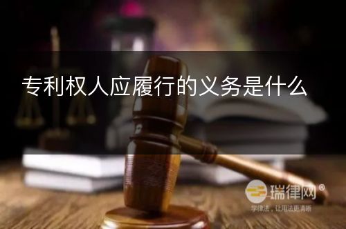 专利权人应履行的义务是什么