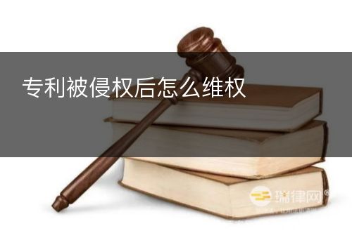 专利被侵权后怎么维权