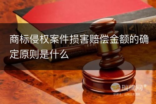 商标侵权案件损害赔偿金额的确定原则是什么