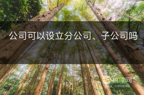 公司可以设立分公司、子公司吗