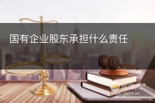 国有企业股东承担什么责任