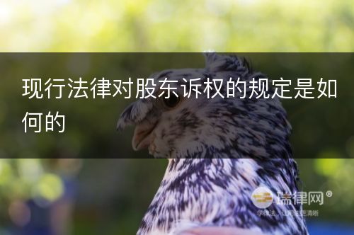 现行法律对股东诉权的规定是如何的