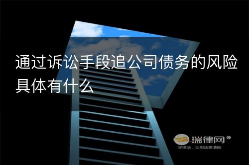 通过诉讼手段追公司债务的风险具体有什么