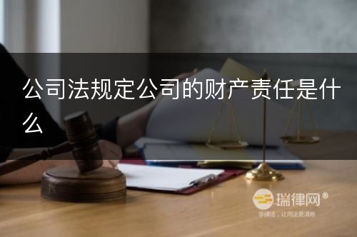 公司法规定公司的财产责任是什么