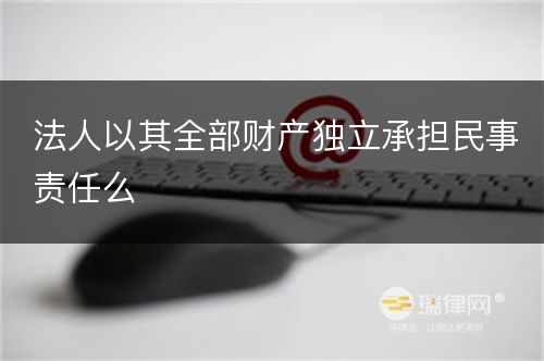 法人以其全部财产独立承担民事责任么