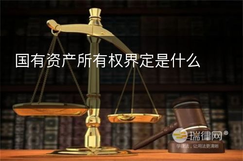 国有资产所有权界定是什么