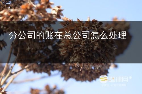 分公司的账在总公司怎么处理