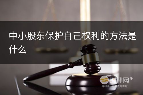 中小股东保护自己权利的方法是什么