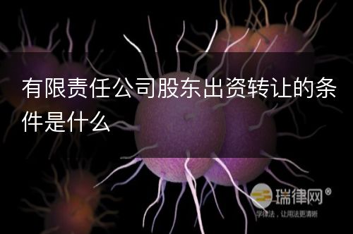 有限责任公司股东出资转让的条件是什么