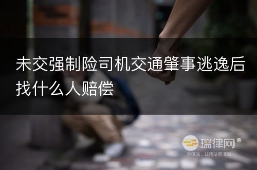 未交强制险司机交通肇事逃逸后找什么人赔偿