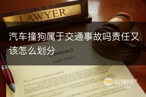 汽车撞狗属于交通事故吗责任又该怎么划分