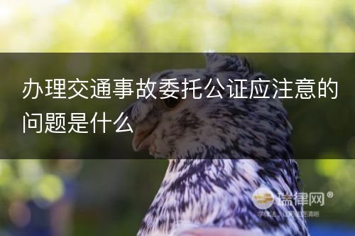 办理交通事故委托公证应注意的问题是什么