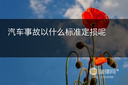 汽车事故以什么标准定损呢