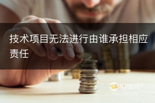 技术项目无法进行由谁承担相应责任