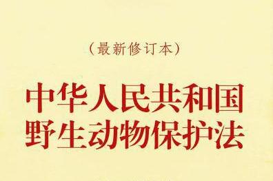 2021年中华人民共和国野生动物保护法修正【全文】