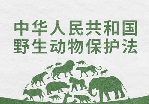 山西省实施《中华人民共和国野生 动物保护法》办法最新