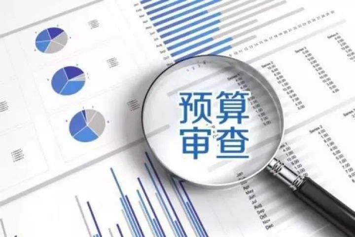 河南省人民代表大会常务委员会关于2020年 暂停实施《河南省预算审查监督条例》 第二十一条第一款规定的决定最新