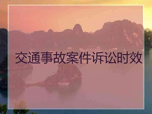 轻微交通事故起诉流程最新