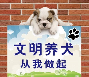 温州市养犬管理条例最新