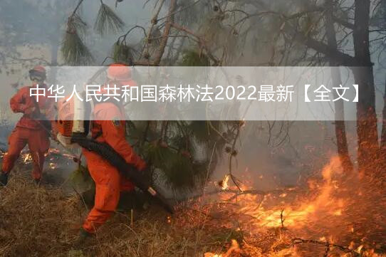 中华人民共和国森林法2022最新【全文】