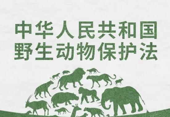 中华人民共和国野生动物保护法2022年修正【全文】