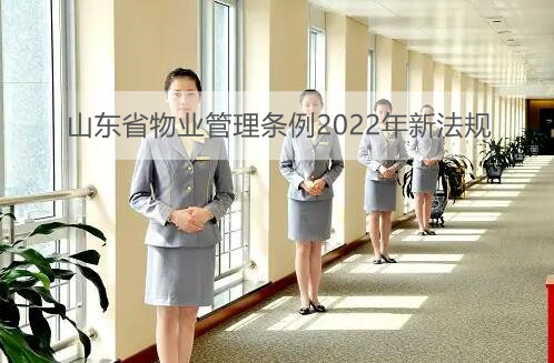 山东省物业管理条例2022年新法规