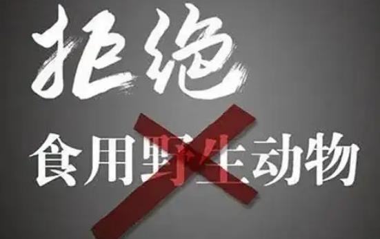 中华人民共和国陆生野生动物保护实施条例2023修订