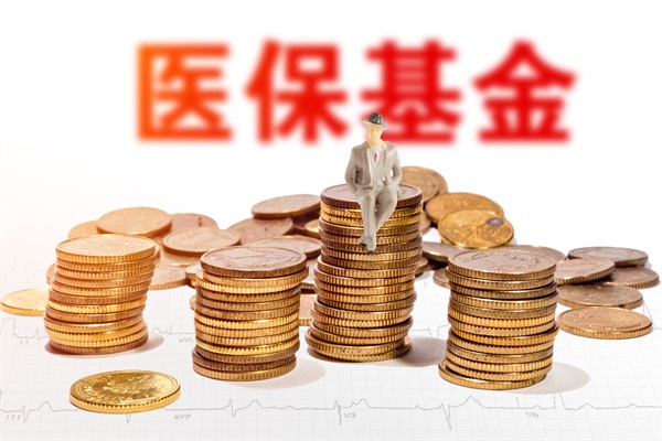 医疗保障基金使用监督管理条例2023最新【全文】