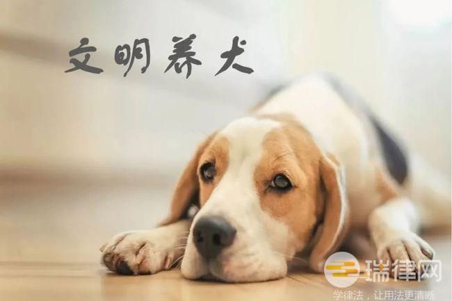 乌鲁木齐市养犬管理条例