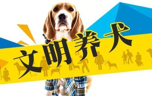 盐城市养犬管理条例2023最新版【全文】