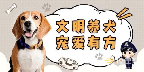 酒泉市养犬管理办法最新【全文】