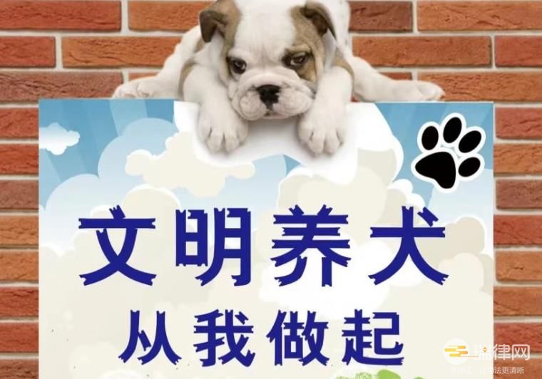 海口市养犬管理条例最新【全文】