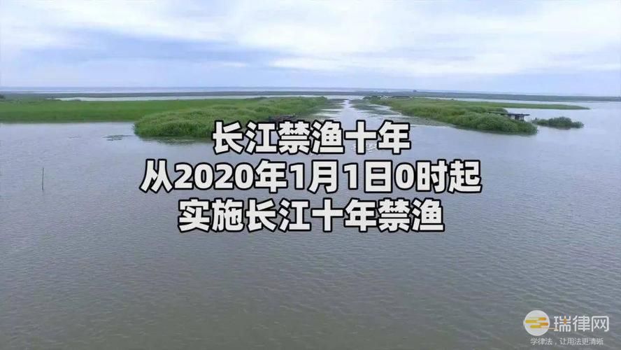 湖北省人民代表大会常务委员会关于长江汉江湖北段实施禁捕的决定