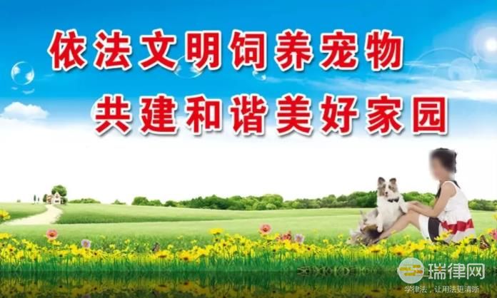 徐州市养犬管理条例2023最新修正版【全文】